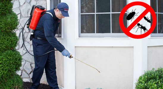 Zonguldak Tahtakurusu İlaçlama böcek ilaçlama ve haşere kontrolü — ilaclama-tr.com